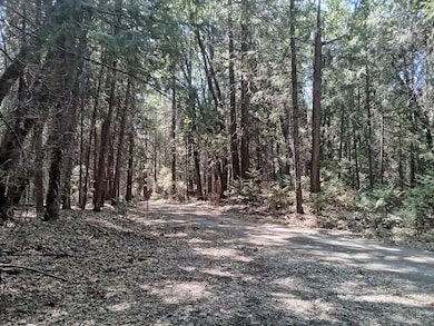 0 Just Rd unit 225114099, Iowa Hill, CA 95713 - photo 2