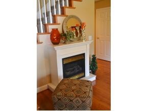 Great Room Gas Log FP