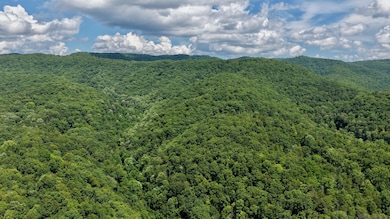 DJI_20250727150737_0003_D