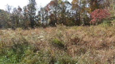 8.60ac Moss Arcot Rd, Celina, TN 38551 - photo 5