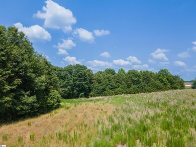 0 Cooley Springs Shchool Rd unit 1560360, Chesnee, SC 29323 - photo 4