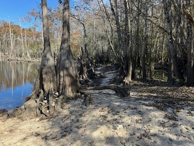 Lot 2 Mcclellan St SE, Kinard, FL 32449 - photo 6