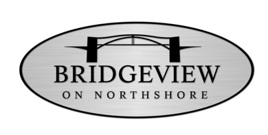 bridgeviewlogoc (1)