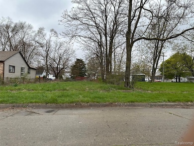 18699 Concord St, Detroit, MI 48234 - photo 2