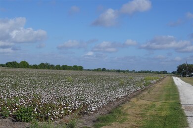 0 Pleasant Rd, Needville, TX 77461 - photo 5