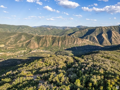 2000 Oakwood Dr unit 1, Springville, UT 84663 - photo 5