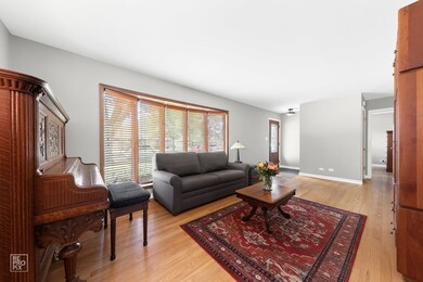 409 N Highview Ave, Elmhurst, IL 60126 - photo 2