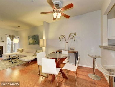 4652 Lambert Dr unit 3, Alexandria, VA 22311 - photo 5