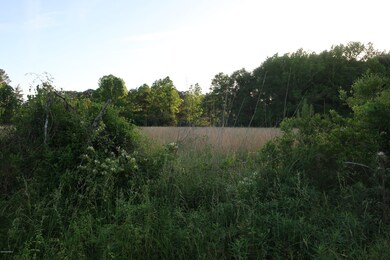 004 pasture area