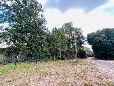 76 Tom Warner Rd, Tylertown, MS 39667 - photo 2