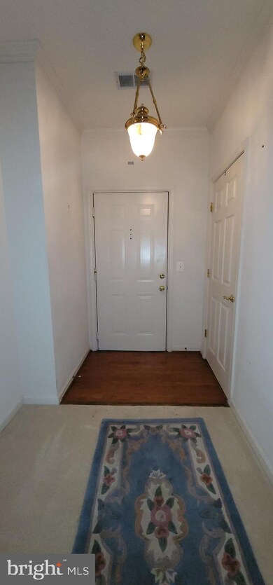 251 Driftwood Ln, Solomons, MD 20688 - photo 4