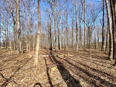 ac Goodwin Schoolhouse Point Isabel Rd, Franklin Township, OH 45106 - photo 4