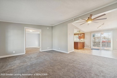 4123 Balmoral Dr, Lansing, MI 48911 - photo 7