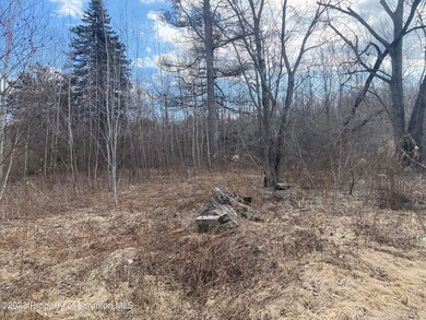 700 Block Rear North Valley Ave, Olyphant, PA 18447 - photo 2