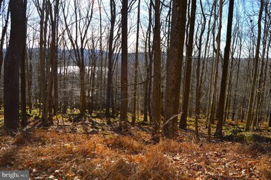 Lot 154 Daisey Dr, Terra Alta, WV 26764 - photo 4