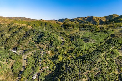 01-DJI_20241218145815_0228_D