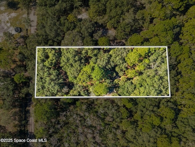 01 Bear Trail, West Canaveral Groves, FL 32926 - photo 5