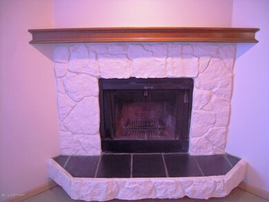 Living Room Fireplace
