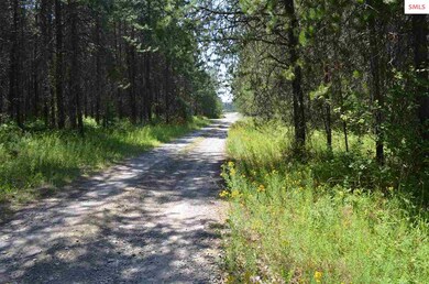 nna E Jensen Ln, Athol, ID 83801 - photo 7