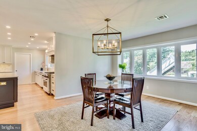 7419 Park Terrace Dr, Alexandria, VA 22307 - photo 7