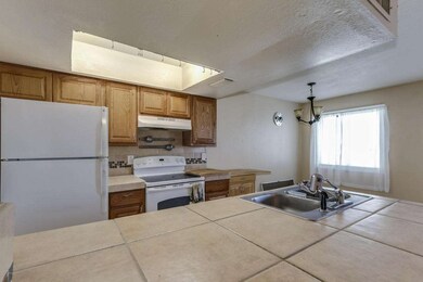 Ocotillo-007