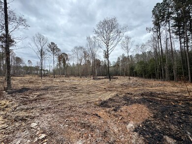 3479 Bastonville Rd, Gibson, GA 30810 - photo 6