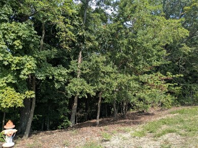 54 Cypress Point Ln, Eureka Springs, AR 72631 - photo 4