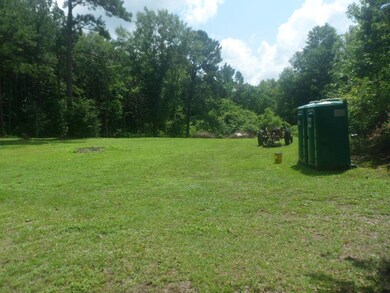 35055 U S 29, Dozier, AL 36028 - photo 3