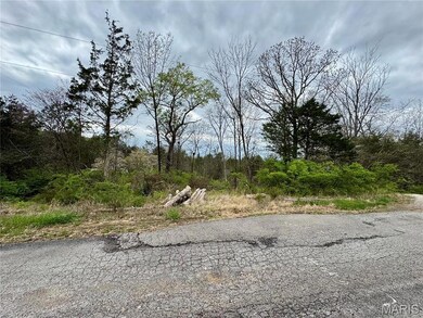 511 Arrowhead, Cedar Hill, MO 63016 - photo 6