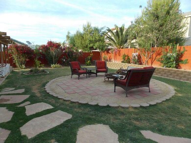 Lush Back Yard