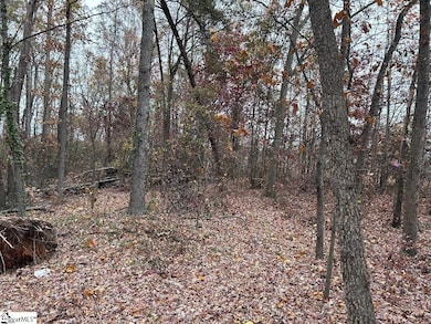 11 Pleasant Grove St, Welcome, SC 29611 - photo 3