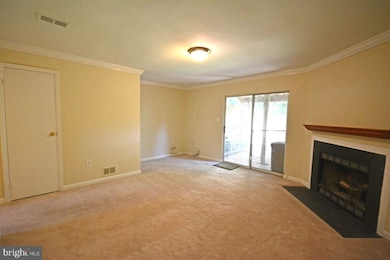 13968 Gunners Place, Centreville, VA 20121 - photo 3