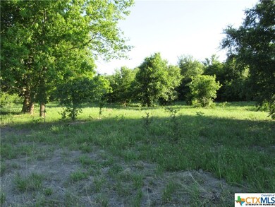 TBD Fm 935 Tract 6, Troy, TX 76579 - photo 4