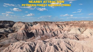 Apache unit AZ, Saint Johns, AZ 86512 - photo 2