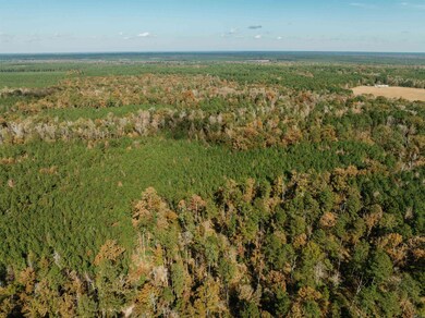 000 81 Rd, Tinsman, AR 71631 - photo 7