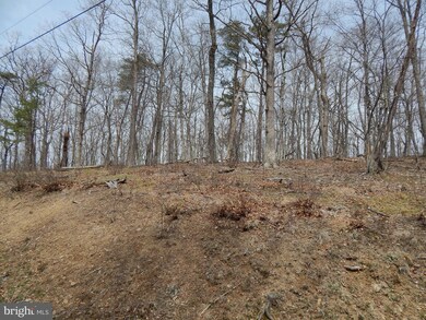 Lot 72 Lost Point Ln, Berkeley Springs, WV 25411 - photo 4