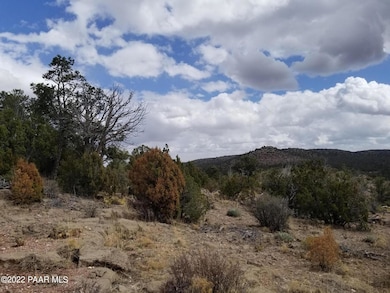 8 Juniperwood Ranch, Ash Fork, AZ 86320 - photo 3