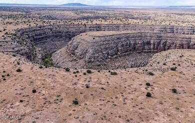 Chevelon Creek on property
