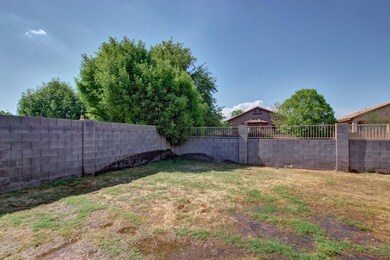 A Yard This Size Needs a Dog!