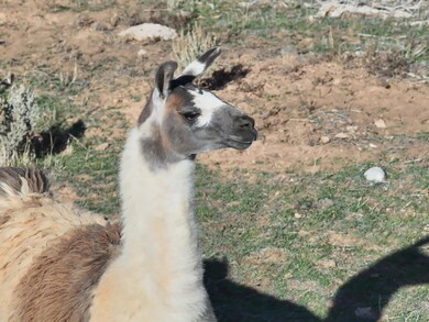 DJI_20251113180837_0014_V