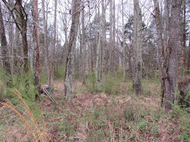 152 Horseshoe Bend Rd, Linden, TN 37096 - photo 3