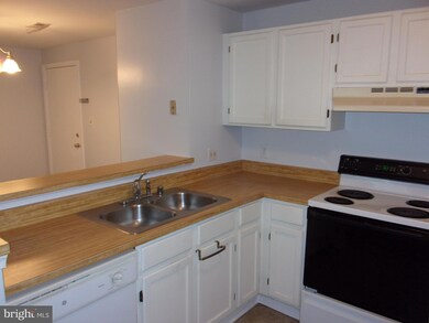 100 Chesterfield Ln unit 103, Stafford, VA 22556 - photo 2