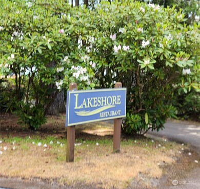 12506 Yoman Rd, Anderson Island, WA 98303 - photo 6