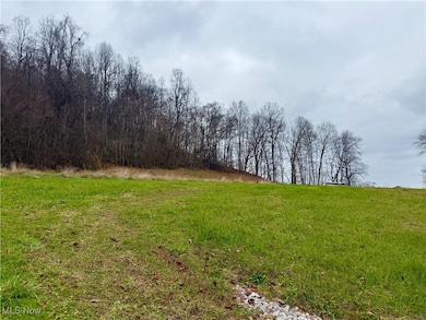 0 S Pleasants Hwy, Saint Marys, WV 26170 - photo 3