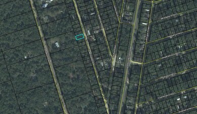 0 Dakota Dr unit 3 316989, Crawfordville, FL 32327 - photo 3