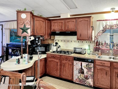 Pic 11