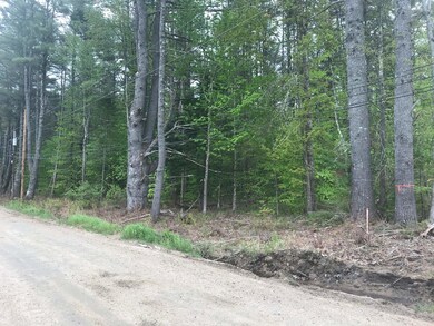 Lot 3 N Wakefield Rd unit Lot 1 on tax map, Wolfeboro, NH 03894 - photo 7