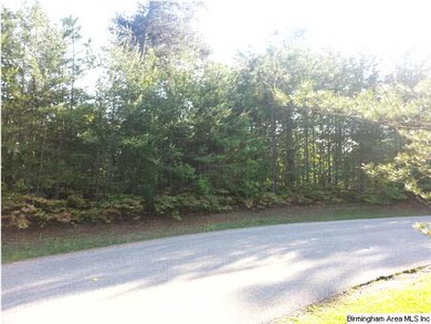 Another angle of frontage of lot