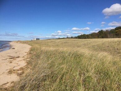 sandy beachfront - 11 Acres on LK MI