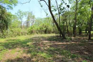 0 County Road 417 Parkway Dr unit 73304911, Dayton, TX 77535 - photo 2